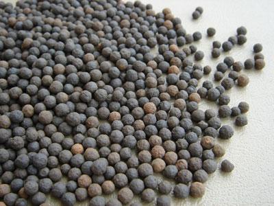 ���������V��--�ؚ�����V�ع�ˇϵ�y(t��ng)�M����