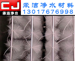 ���w��������